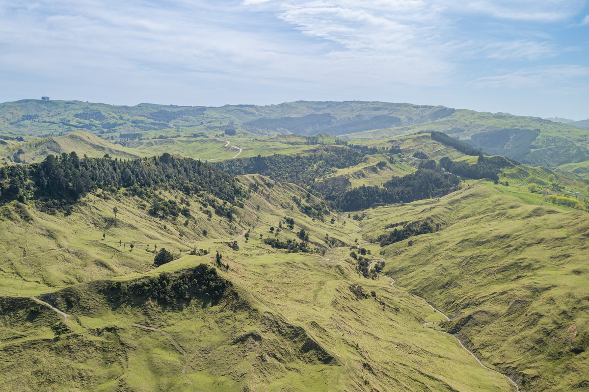 Waipuna Station - 1,517 hectares