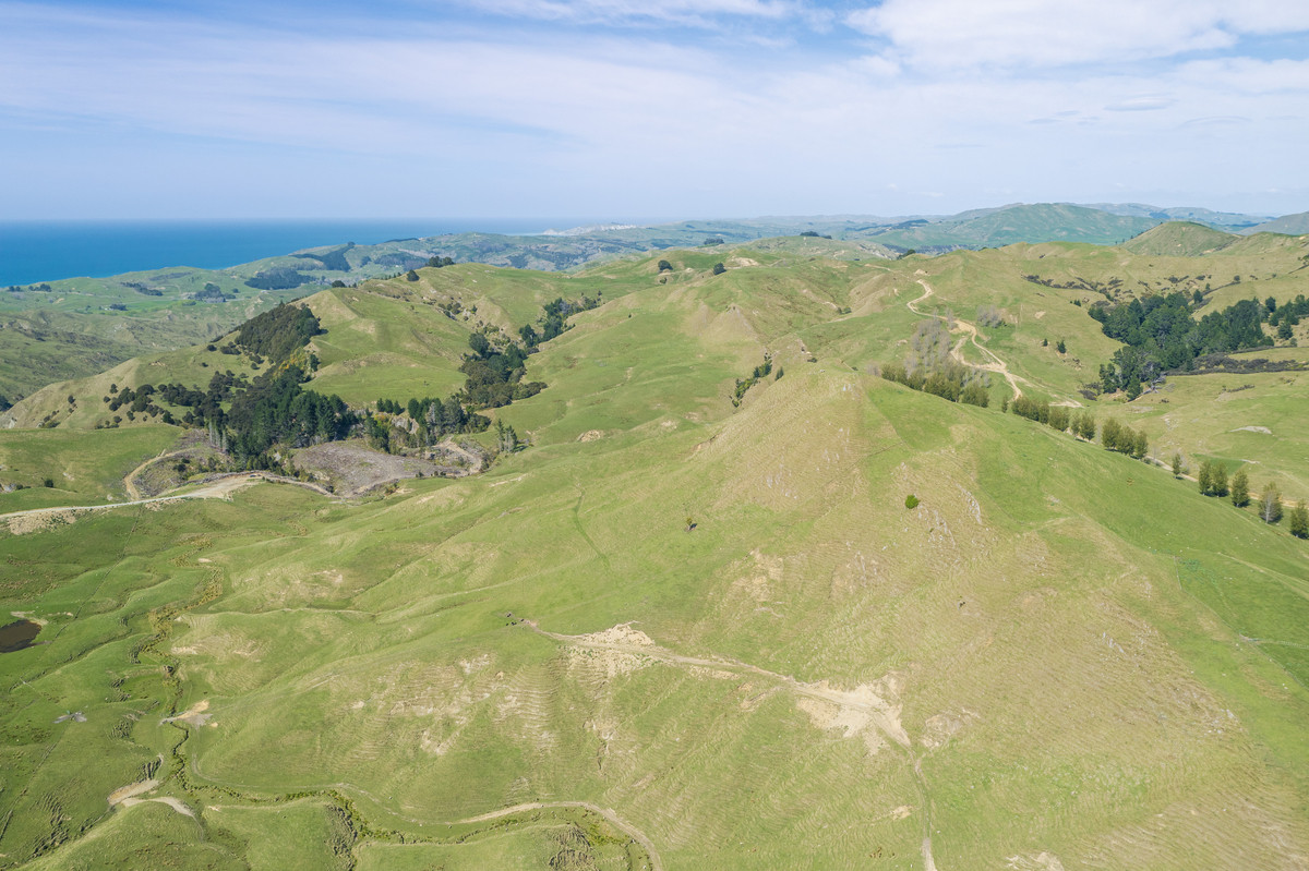 Waipuna Station - 1,517 hectares