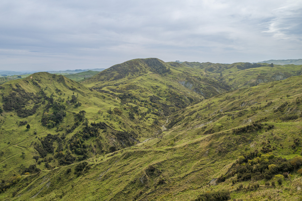 Waipuna Station - 1,517 hectares