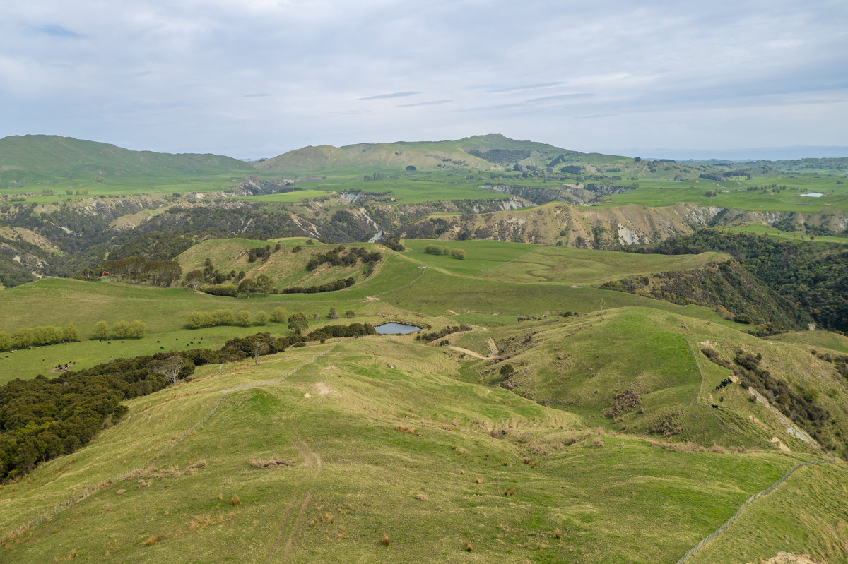 Waipuna Station - 1,517 hectares