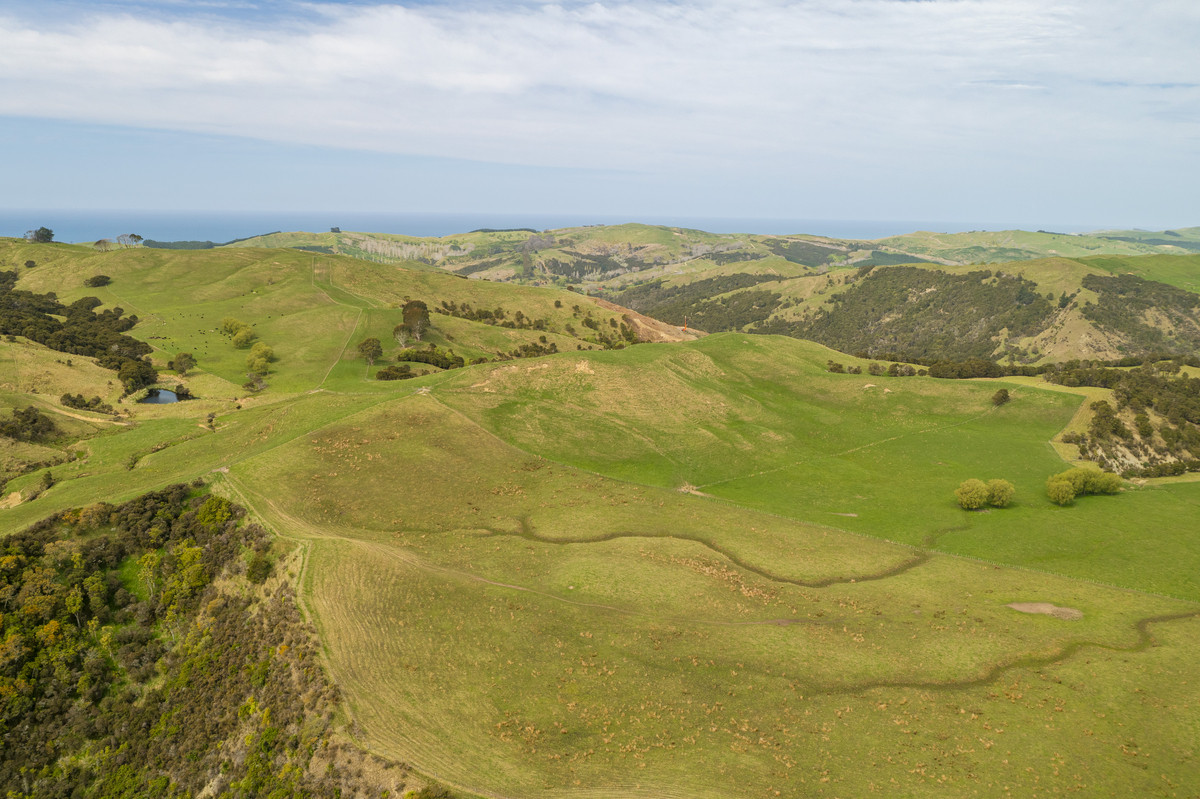 Waipuna Station - 1,517 hectares