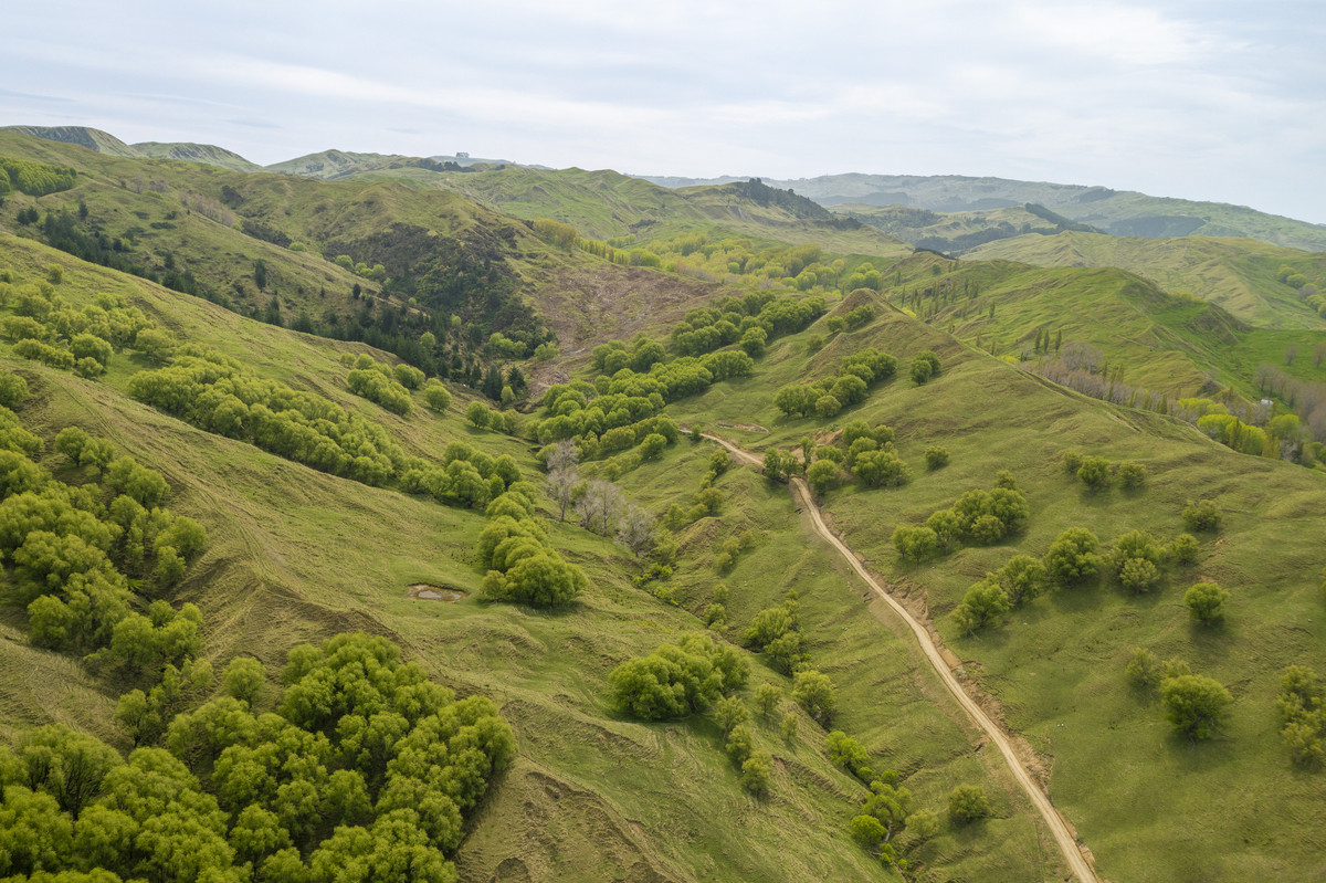 Waipuna Station - 1,517 hectares