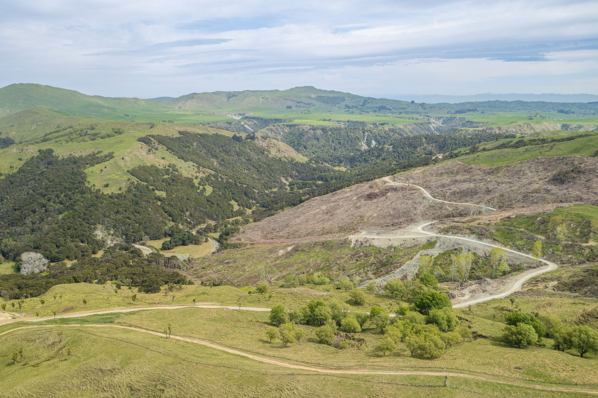 Waipuna Station - 1,517 hectares