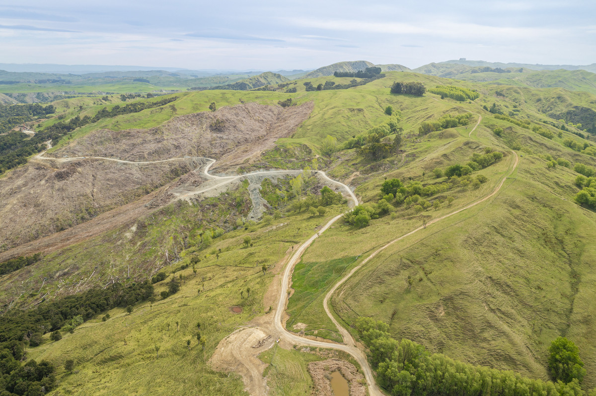 Waipuna Station - 1,517 hectares