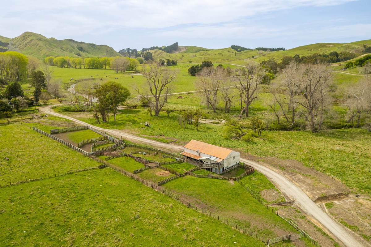 Waipuna Station - 1,517 hectares