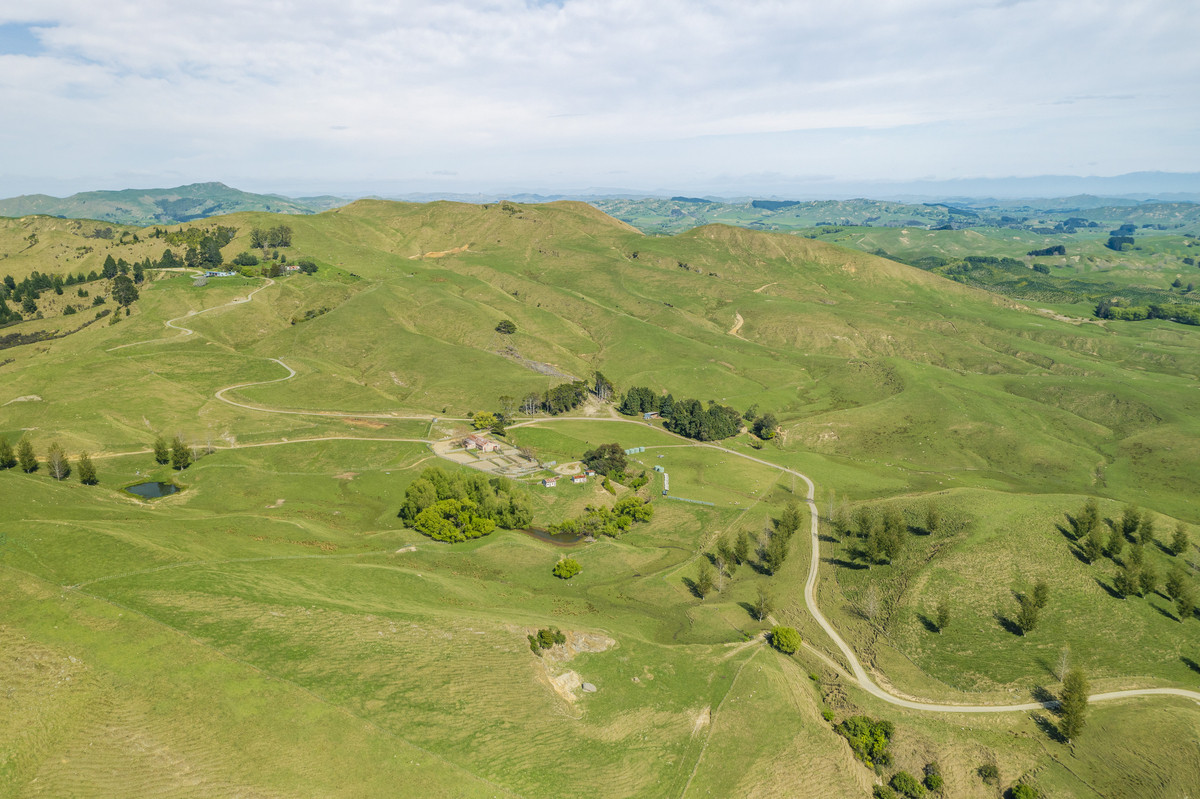 Waipuna Station - 1,517 hectares