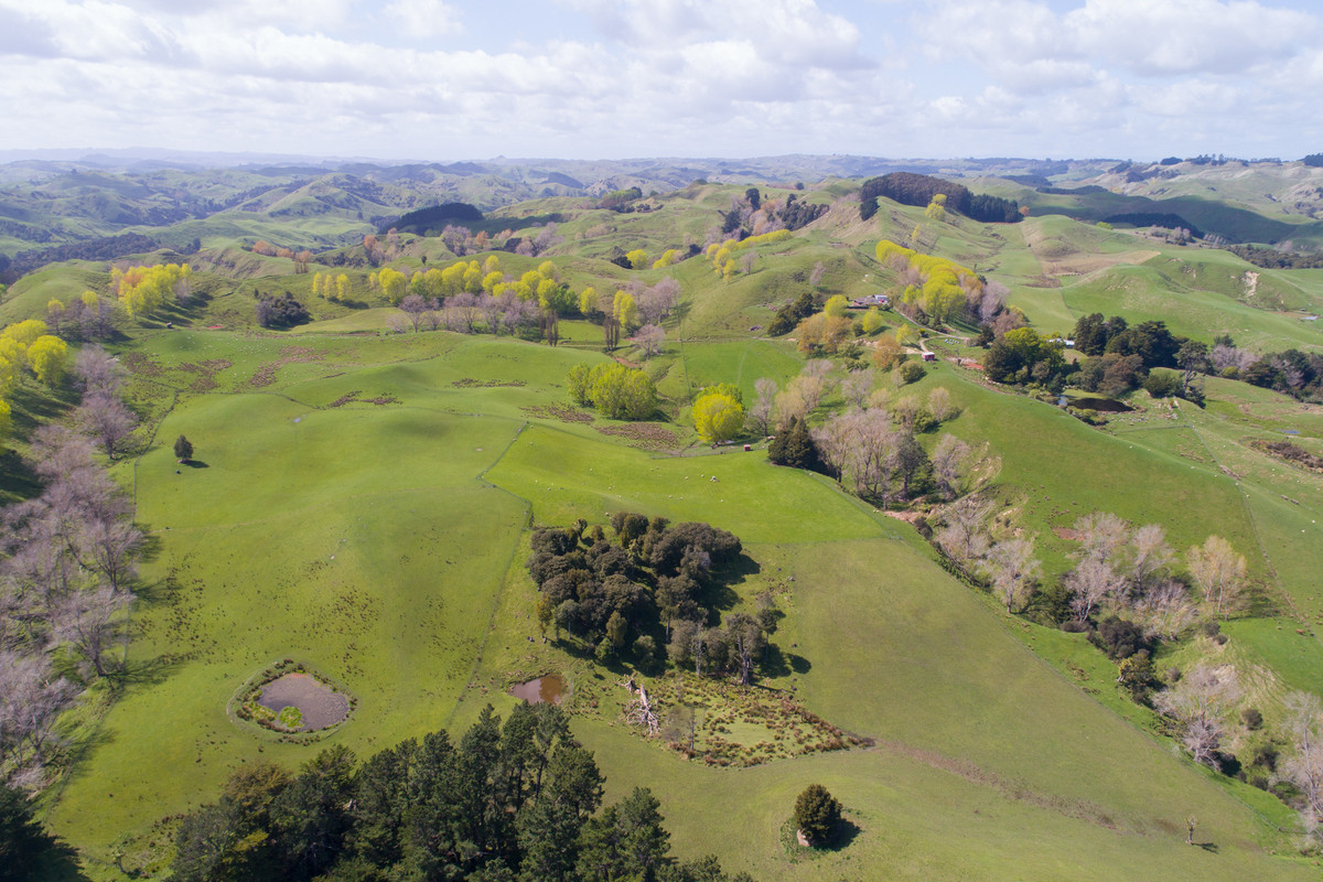 Faithfully Farmed & Maintained - 178.4ha