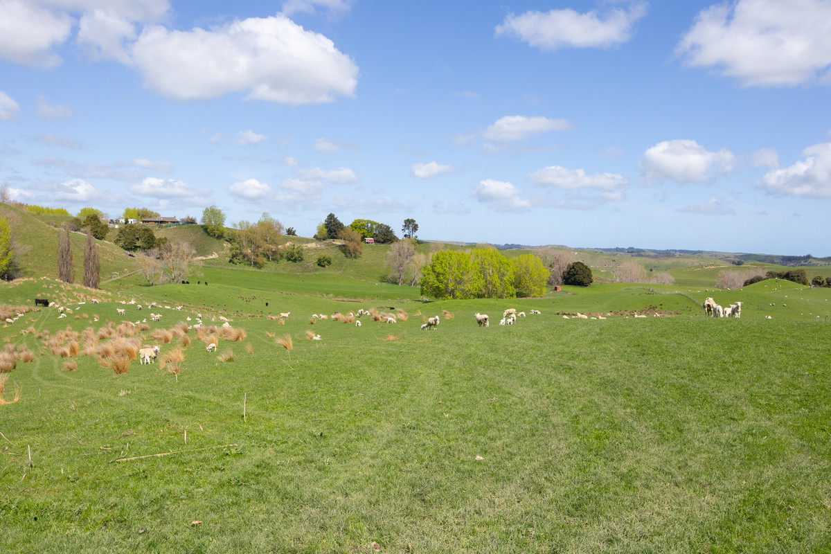 Faithfully Farmed & Maintained - 178.4ha