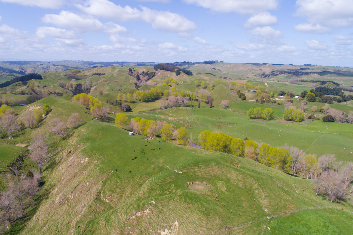 Faithfully Farmed & Maintained - 178.4ha