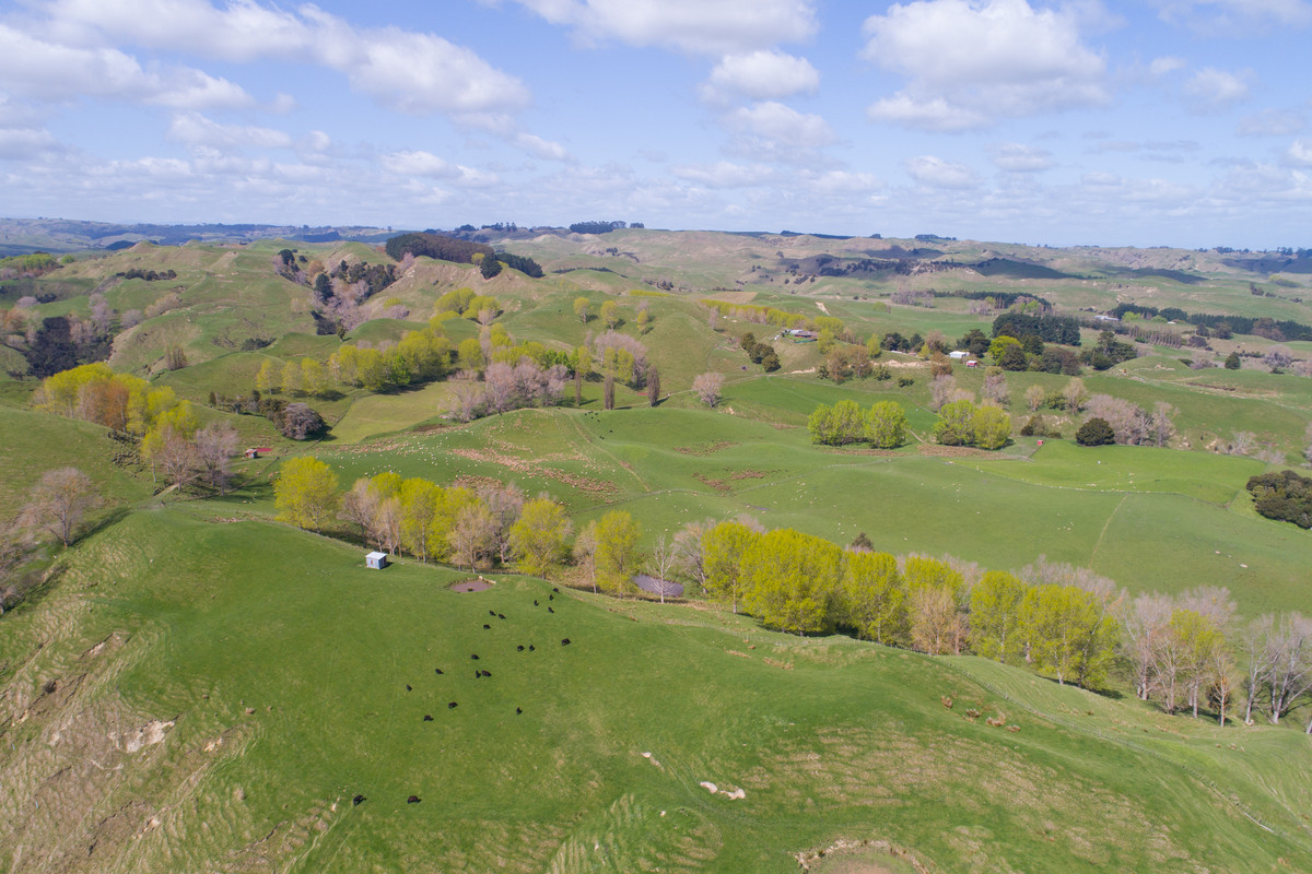 Faithfully Farmed & Maintained - 178.4ha