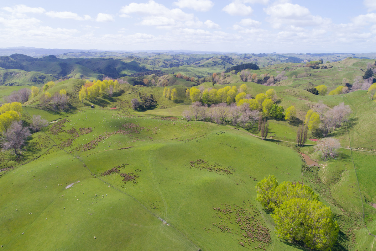 Faithfully Farmed & Maintained - 178.4ha