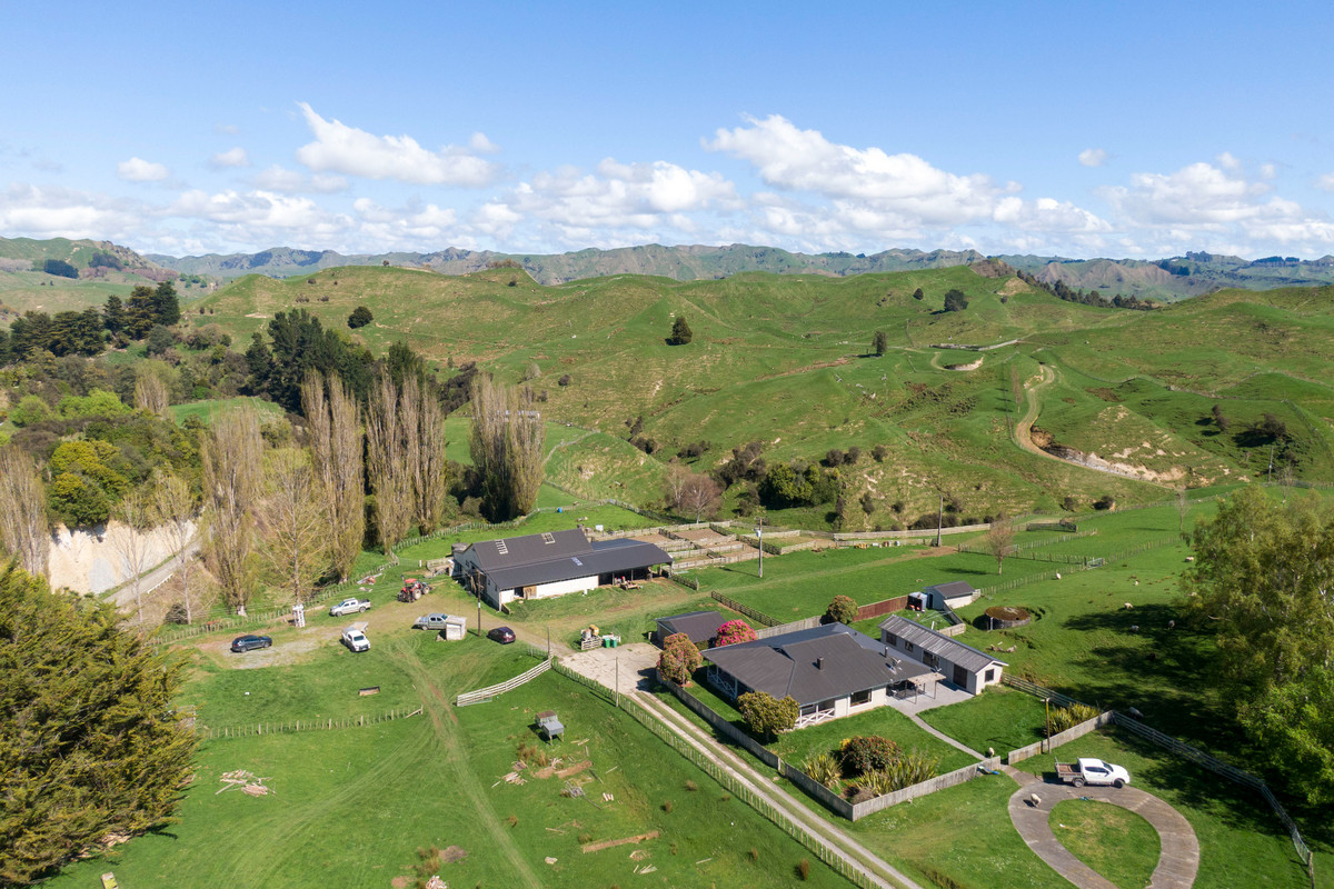 Strong Taihape Hill Country – 459 Hectares