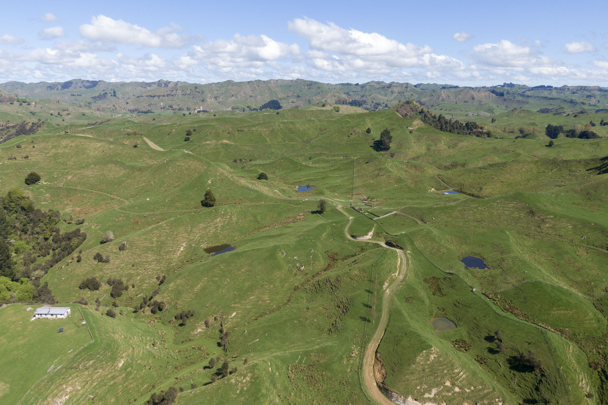 Strong Taihape Hill Country – 459 Hectares