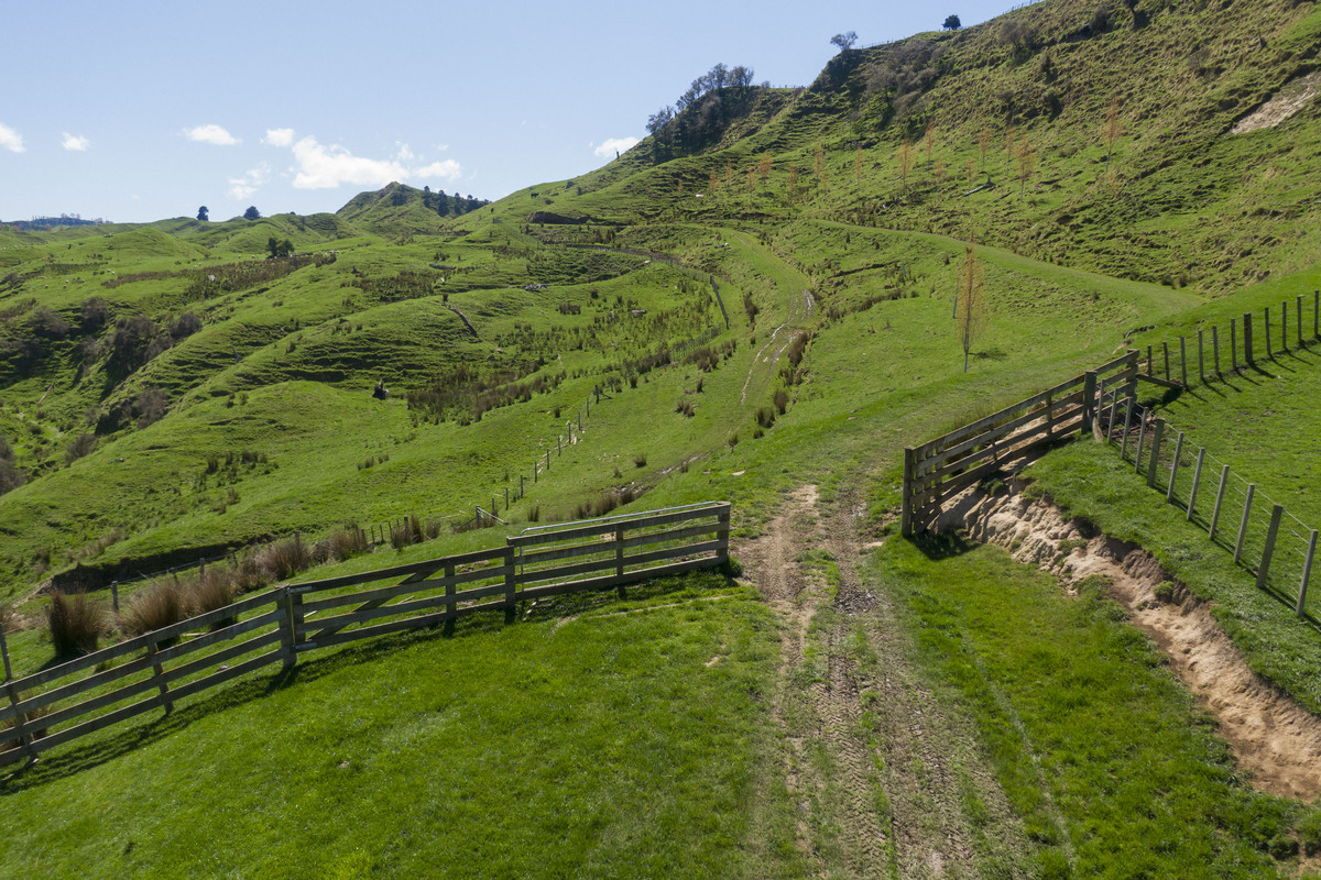 Strong Taihape Hill Country – 459 Hectares