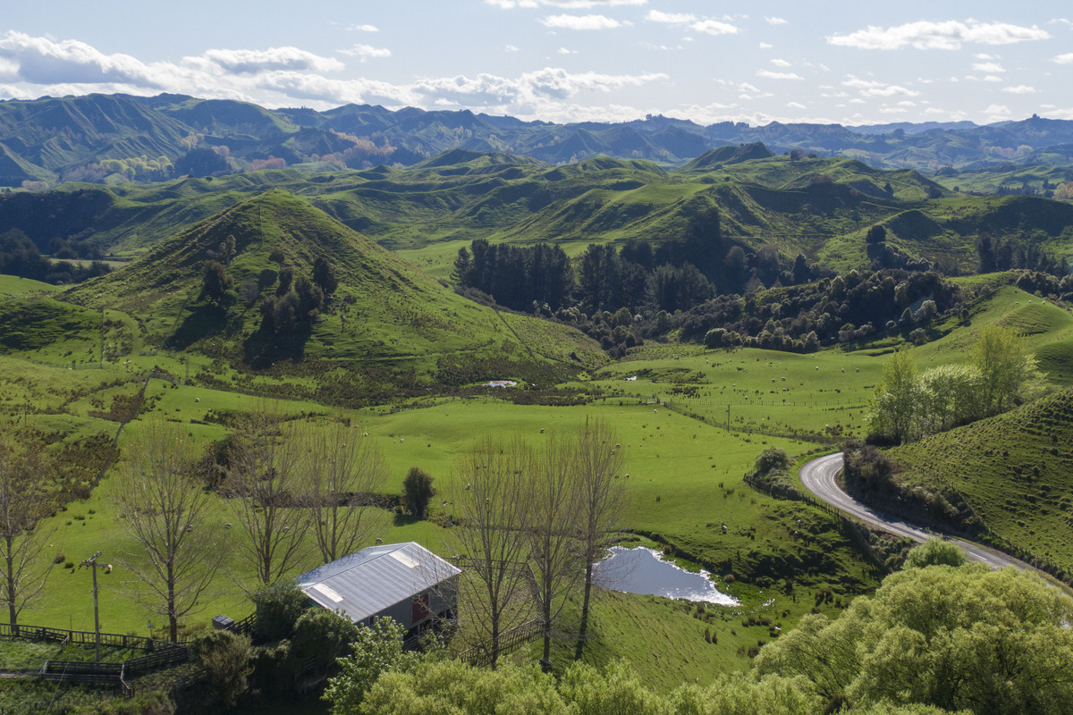 Strong Taihape Hill Country – 459 Hectares