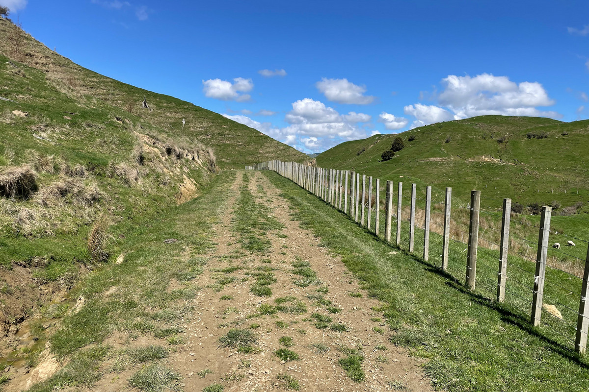 Strong Taihape Hill Country – 459 Hectares