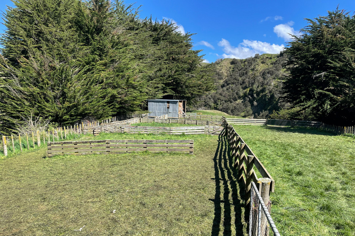 Strong Taihape Hill Country – 459 Hectares