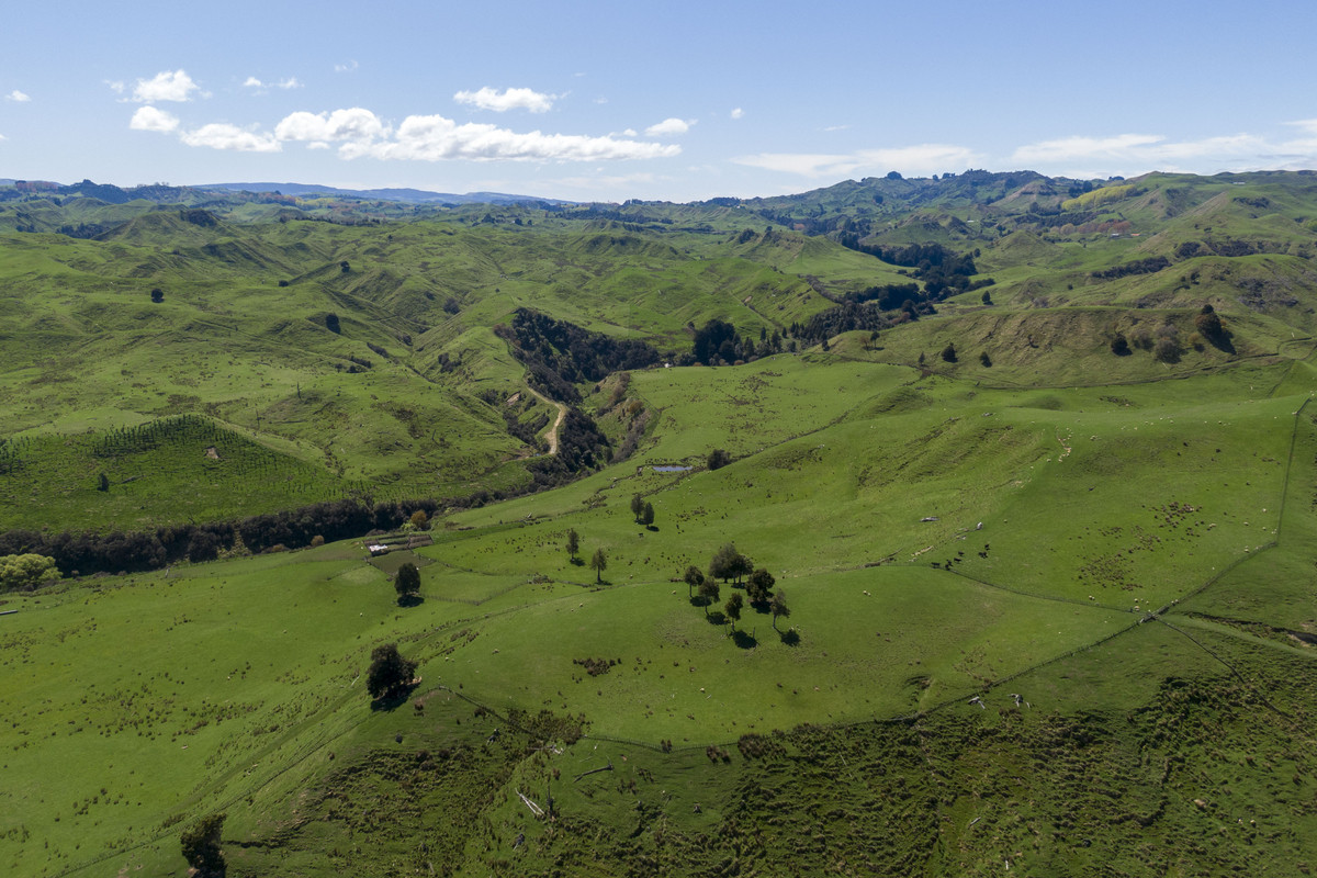 Strong Taihape Hill Country – 459 Hectares