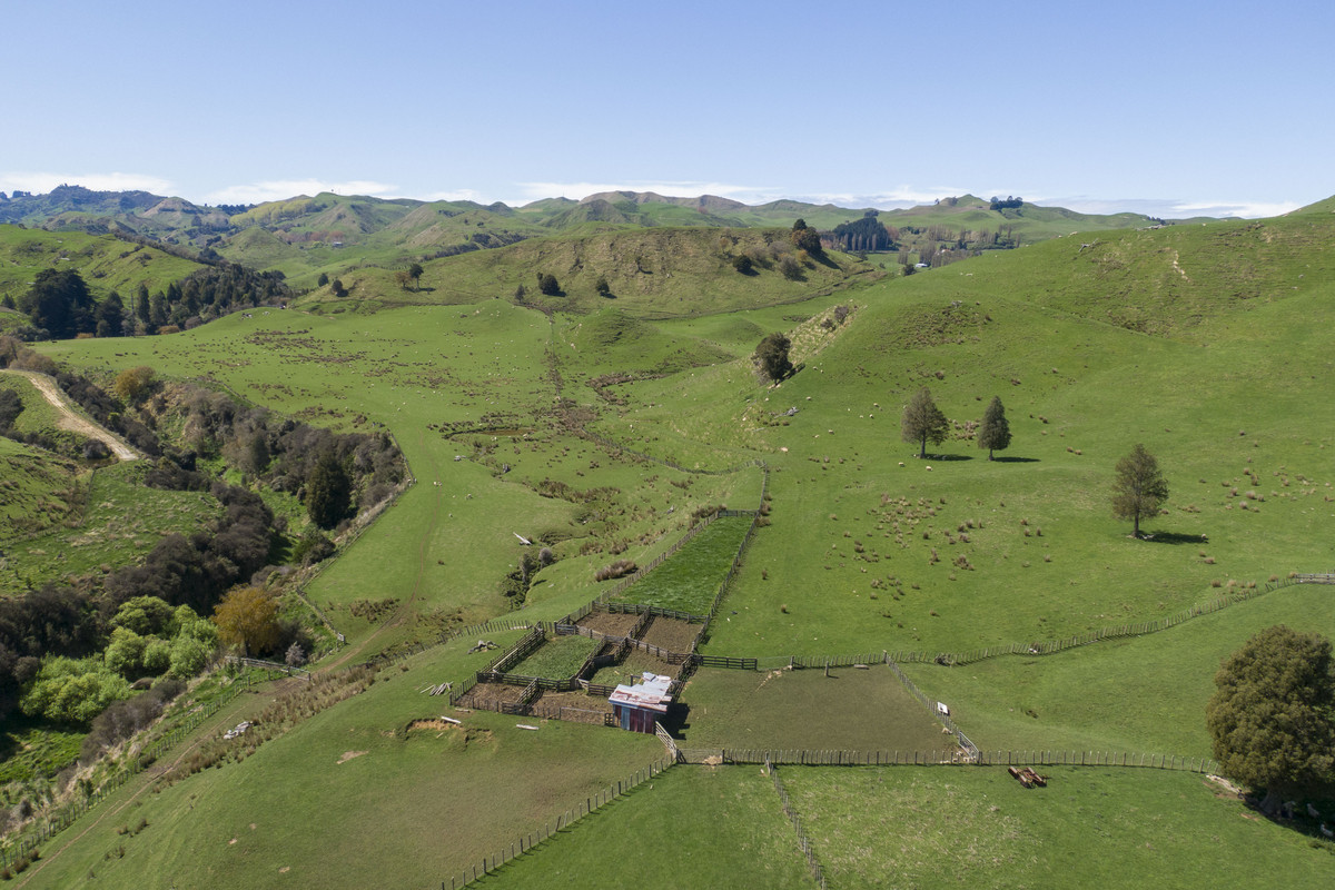 Strong Taihape Hill Country – 459 Hectares