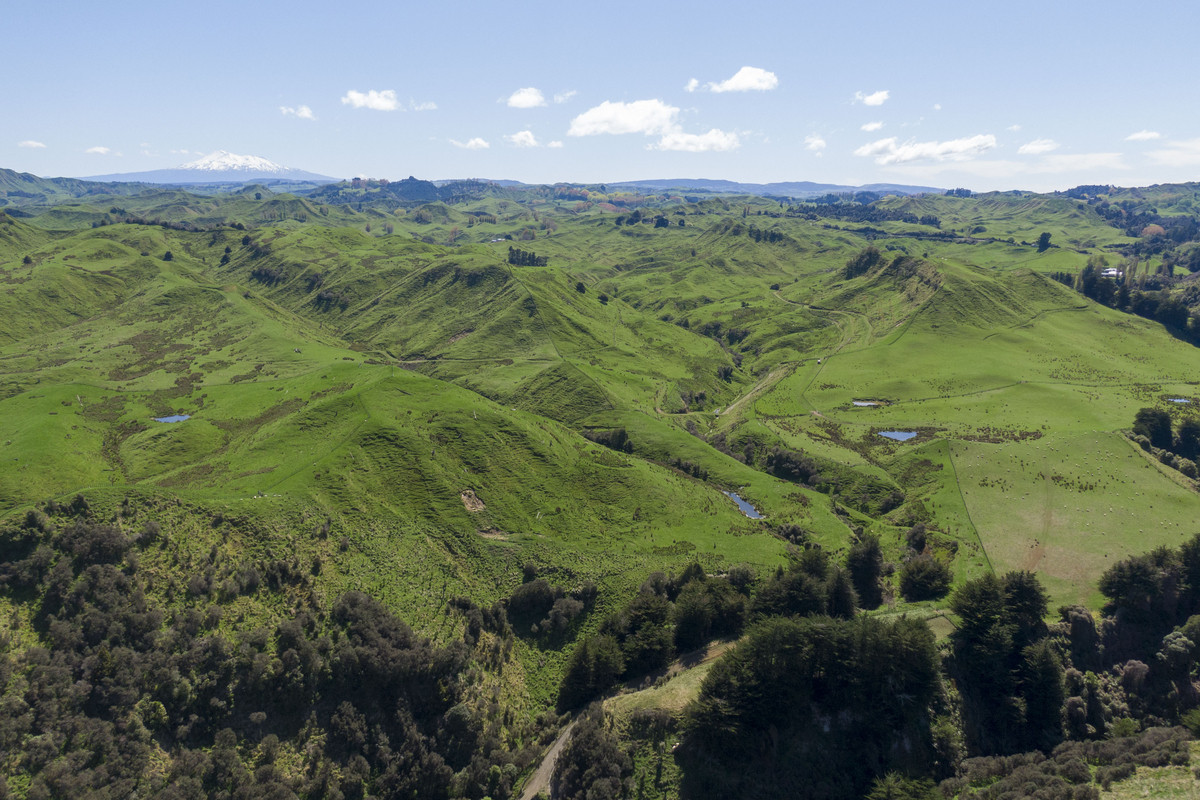 Strong Taihape Hill Country – 459 Hectares