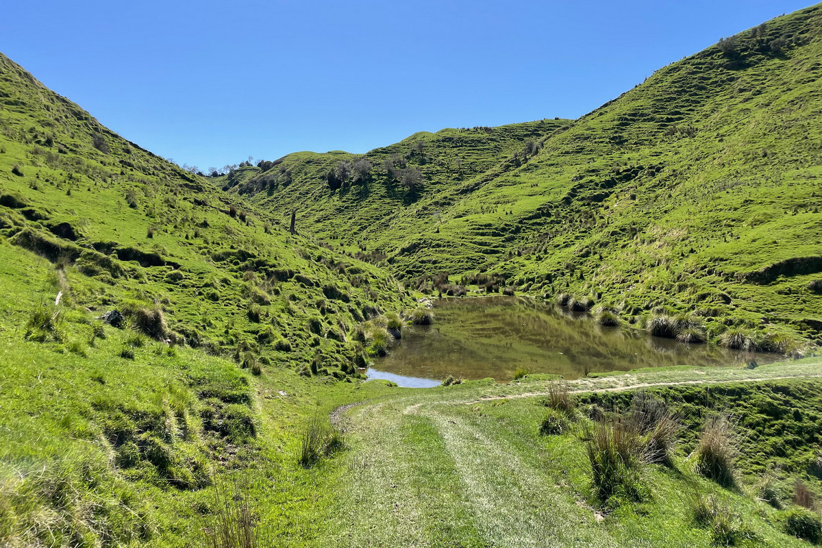 Strong Taihape Hill Country – 459 Hectares