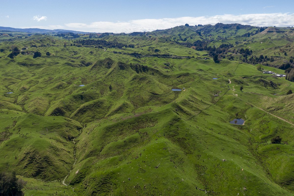 Strong Taihape Hill Country – 459 Hectares