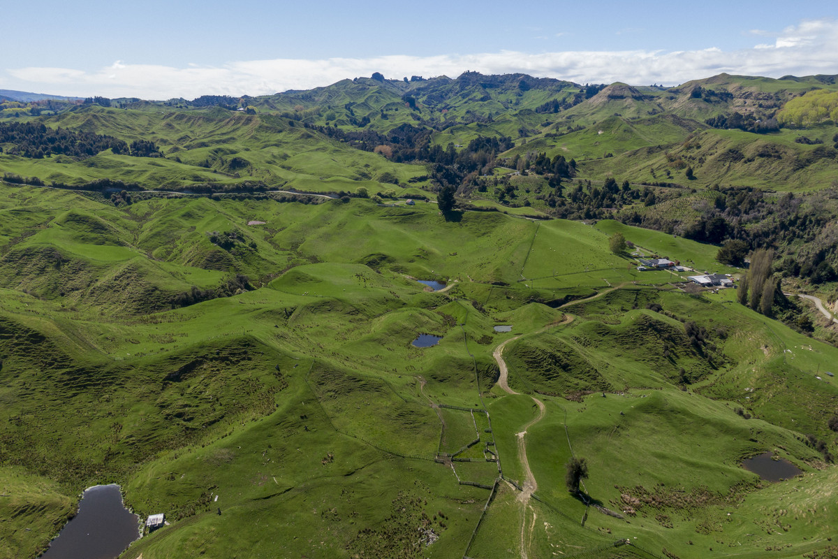 Strong Taihape Hill Country – 459 Hectares