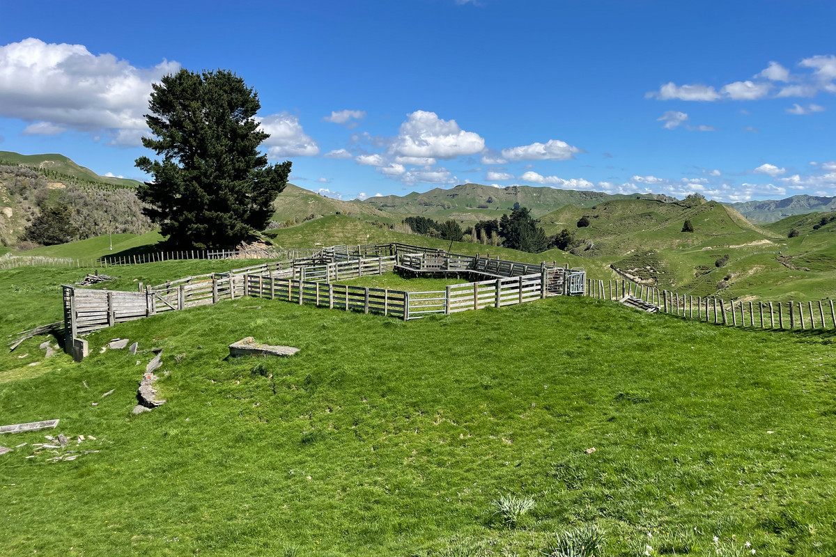 Strong Taihape Hill Country – 459 Hectares