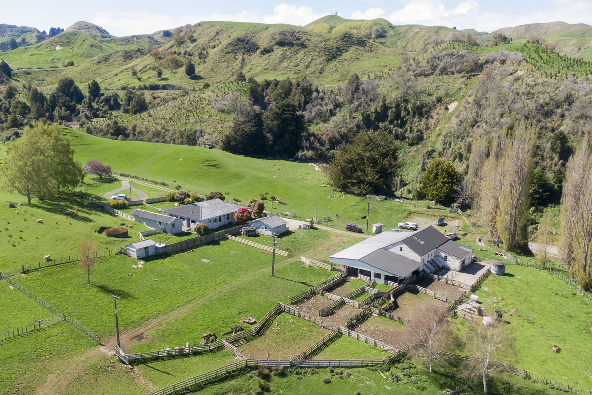 Strong Taihape Hill Country – 459 Hectares