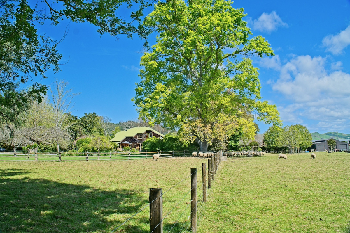 ‘Ngahere’- Perfection on Papatu