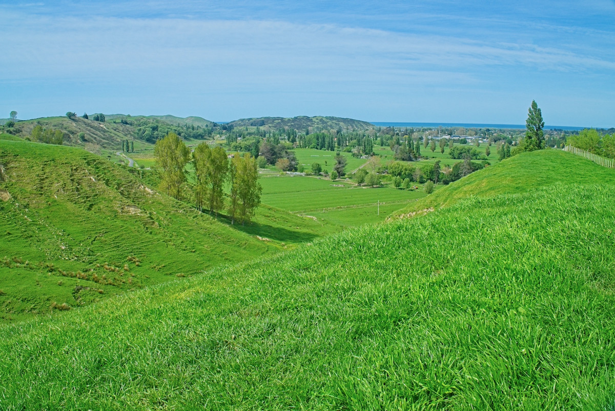 Make hay in Wairoa!