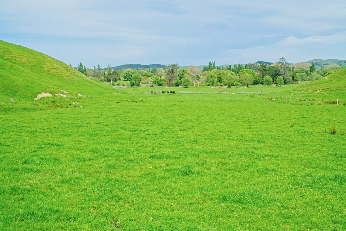 Make hay in Wairoa!