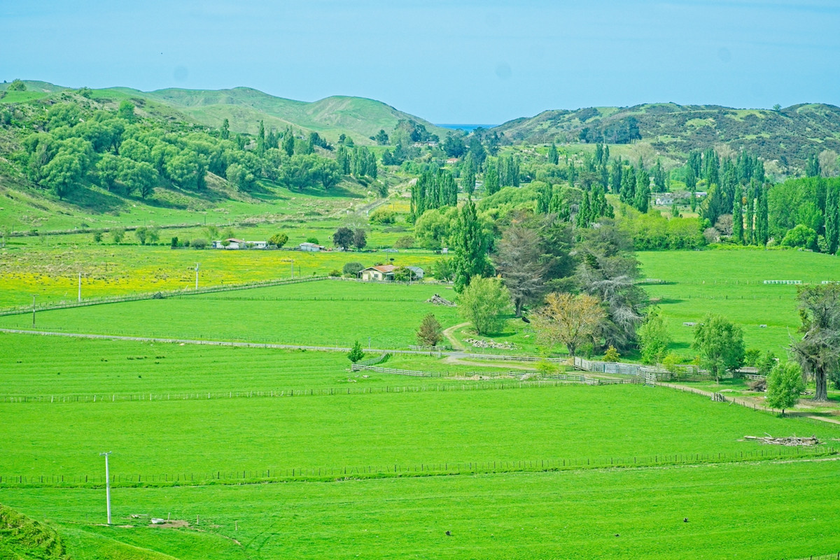 Make hay in Wairoa!