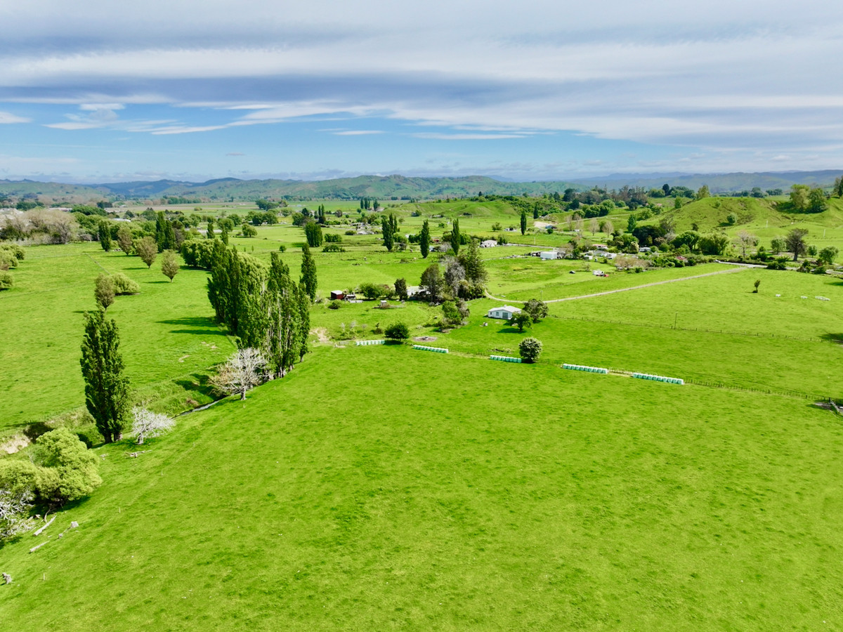 Make hay in Wairoa!