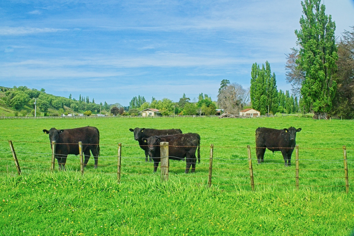 Make hay in Wairoa!