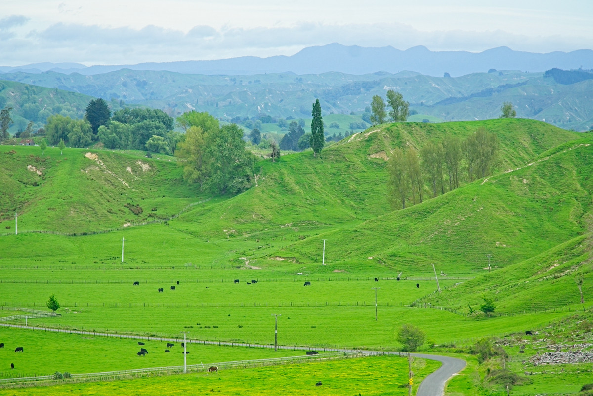 Make hay in Wairoa!