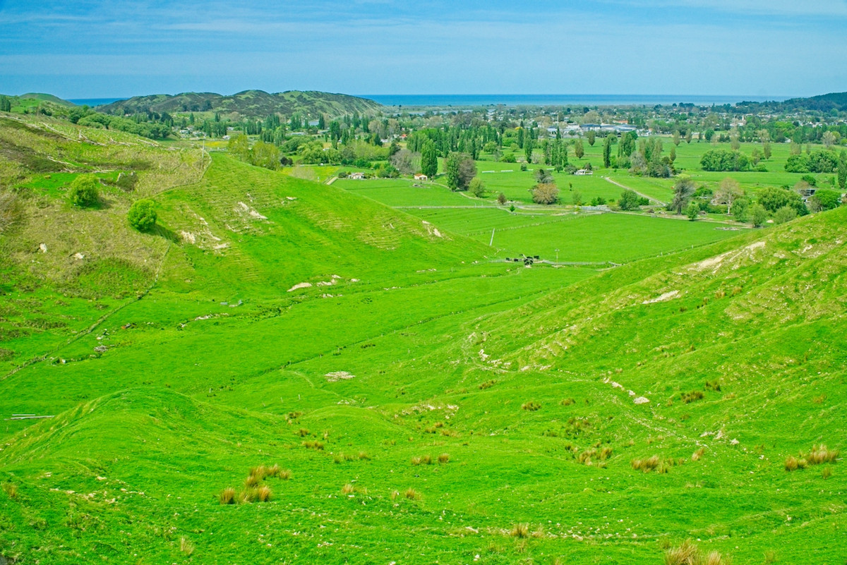 Make hay in Wairoa!