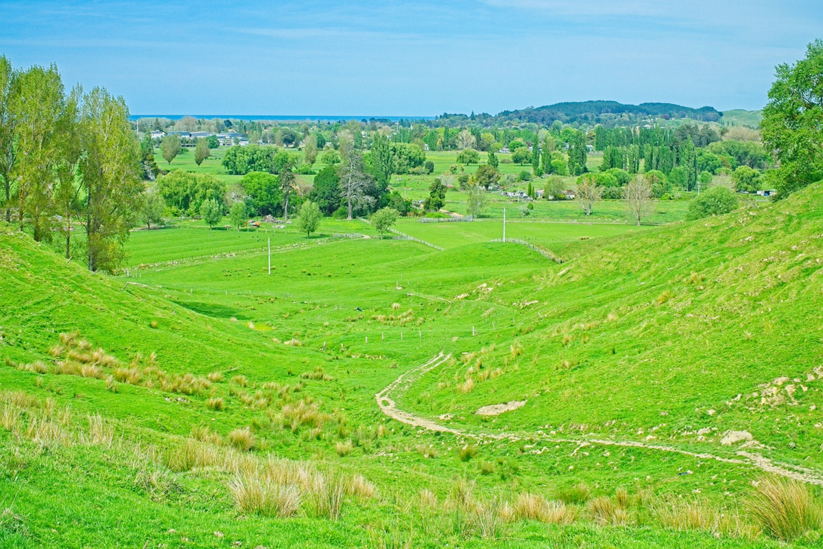 Make hay in Wairoa!