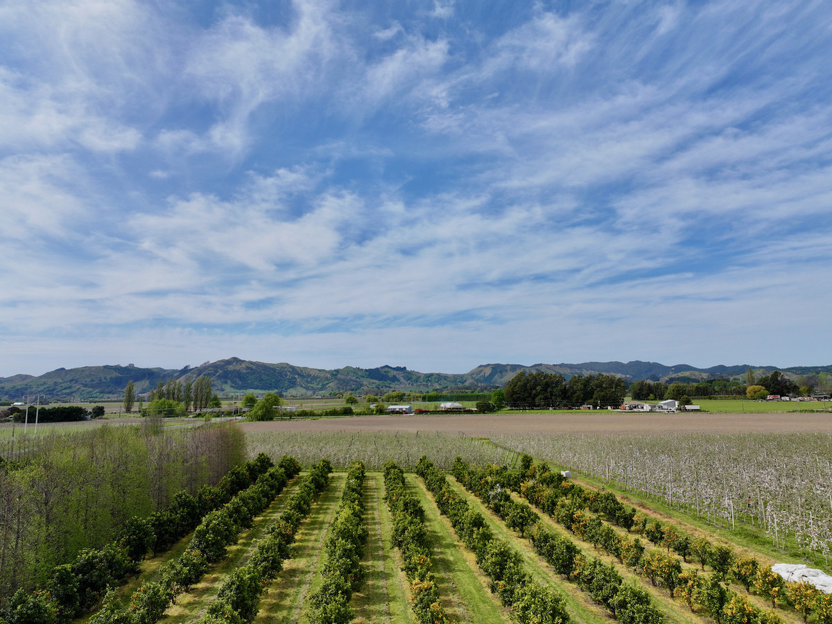 Productive horticultural landholding- 8ha's