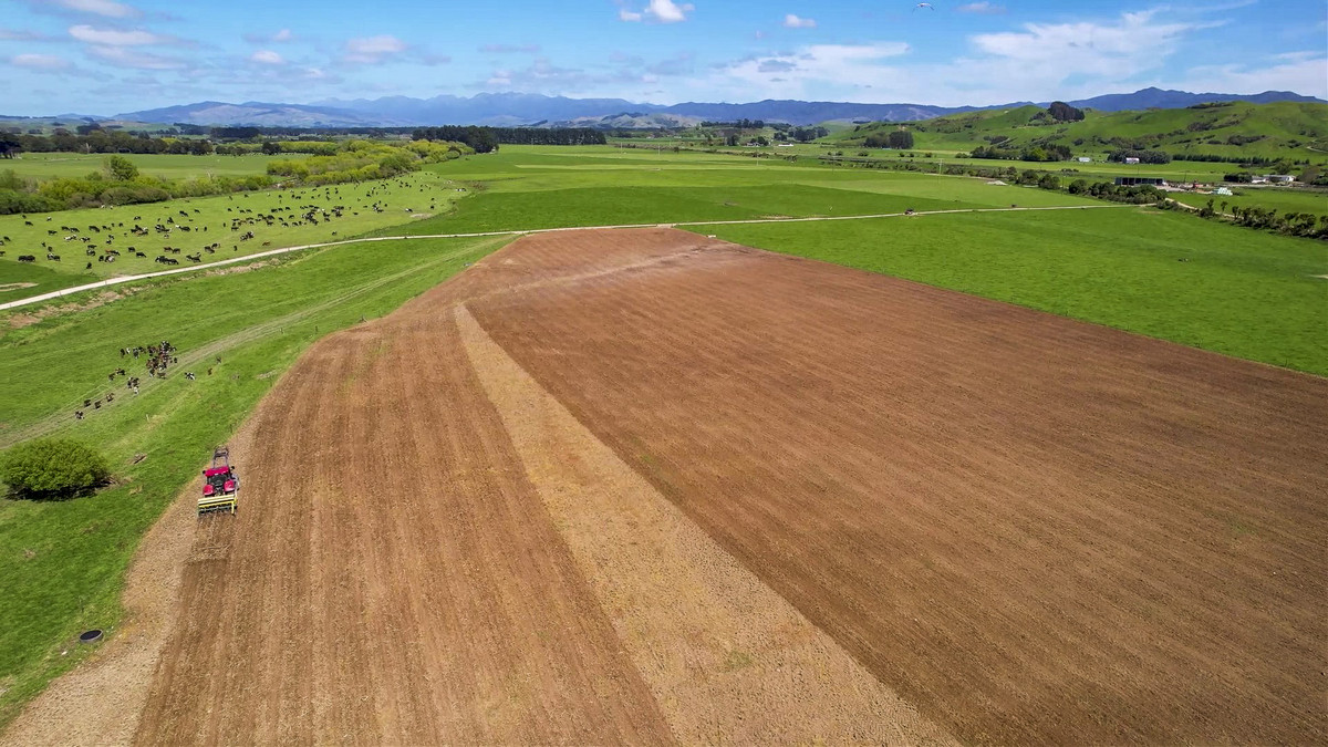 Attractive, Well Maintained & Summer Safe - 277ha