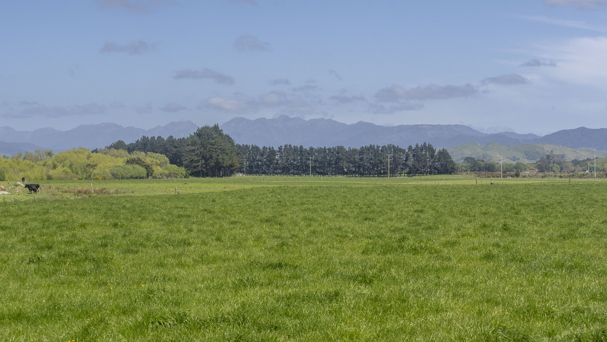 Attractive, Well Maintained & Summer Safe - 277ha