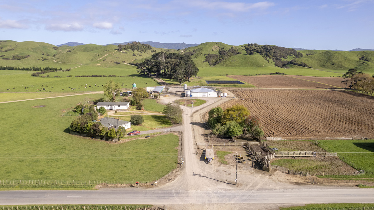 Attractive, Well Maintained & Summer Safe - 277ha