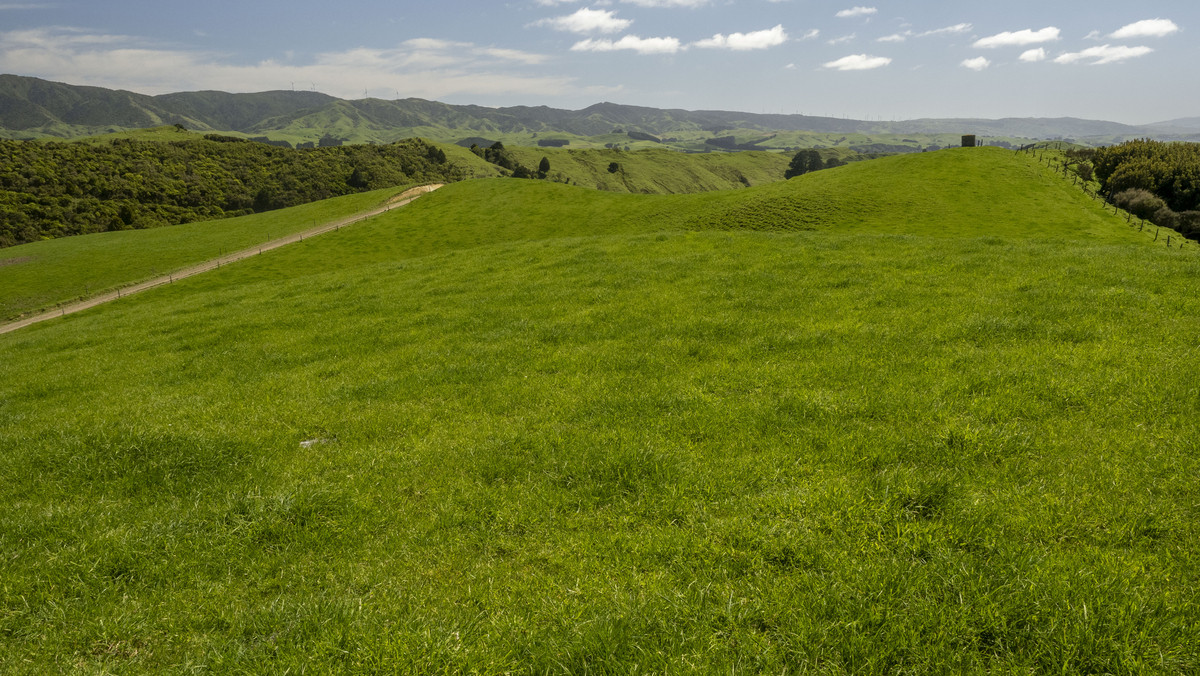 Attractive, Well Maintained & Summer Safe - 277ha