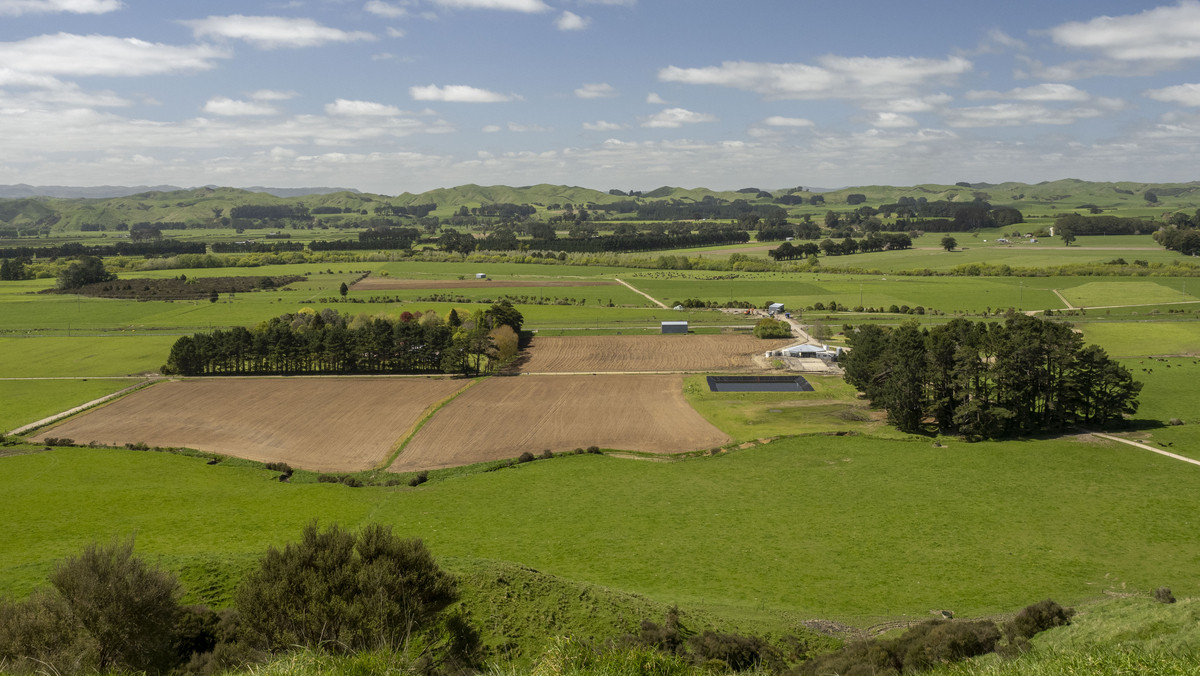 Attractive, Well Maintained & Summer Safe - 277ha