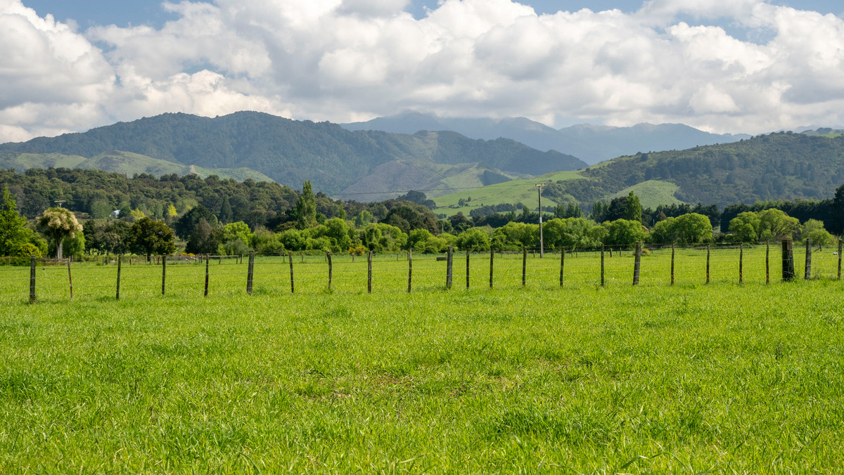 Great Location, Soils & Mountain Views