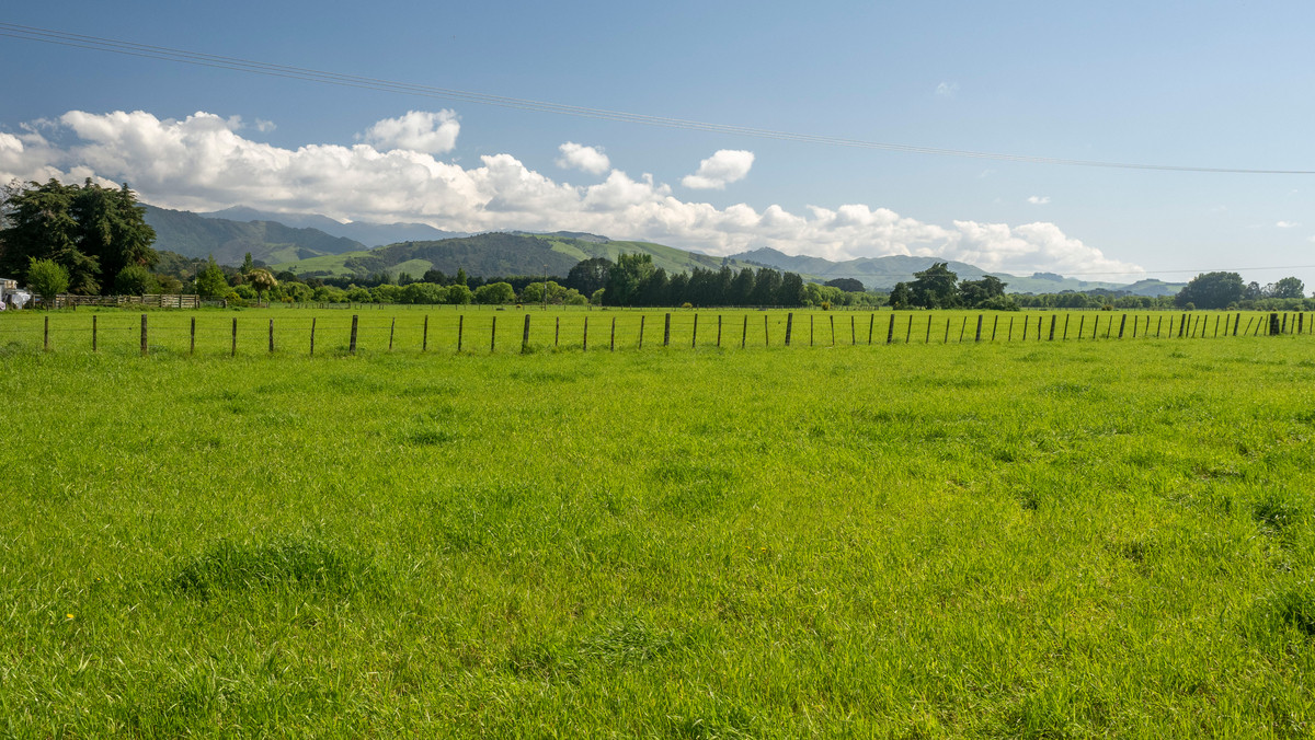 Great Location, Soils & Mountain Views