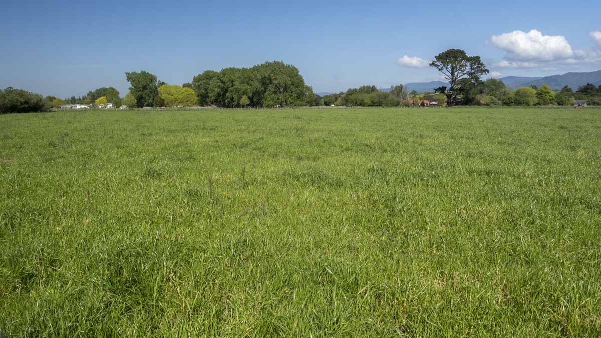 Great Location, Soils & Mountain Views