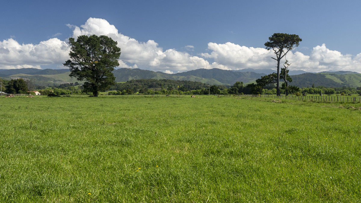 Great Location, Soils & Mountain Views