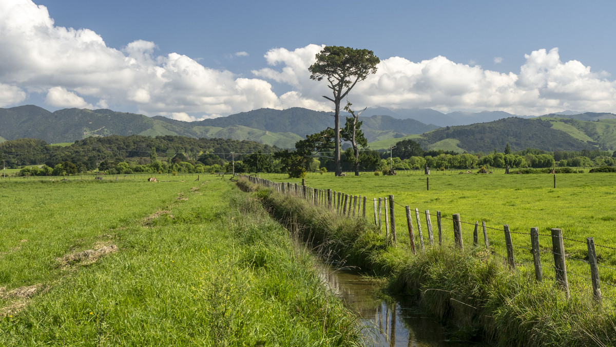 Great Location, Soils & Mountain Views