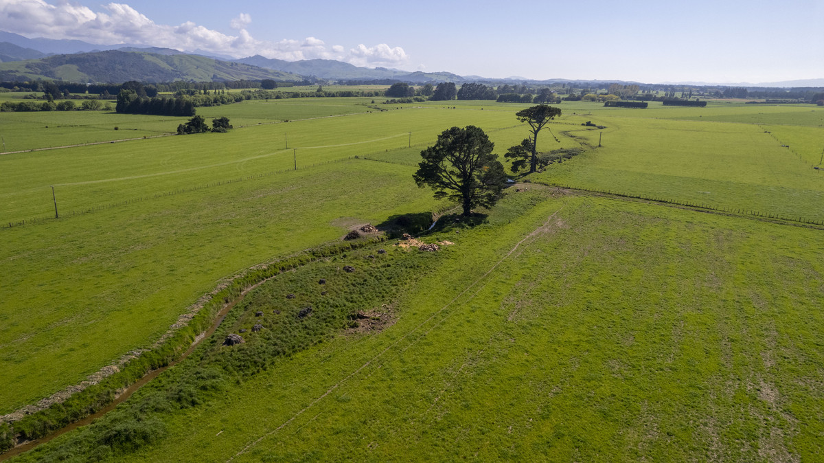 Great Location, Soils & Mountain Views